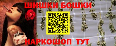 СК Лесосибирск